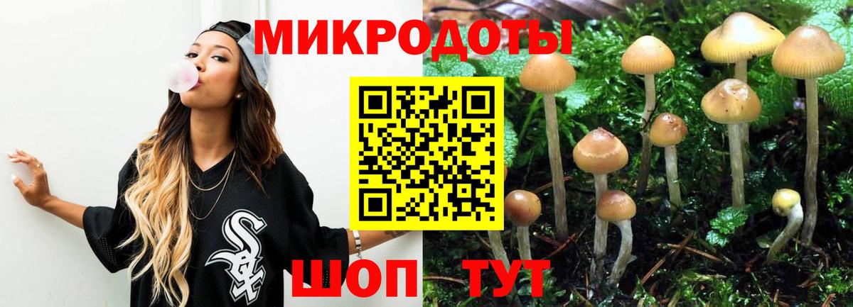 Альметьевск  Галлюциногенные грибы Cubensis  Вход с VPN 